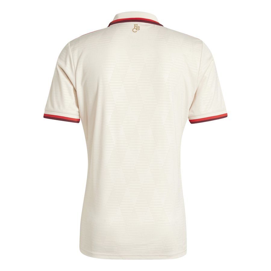 Bayern Munich 2024/25 Third Jersey