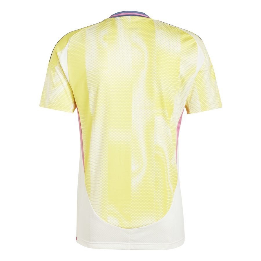 Juventus 2024/25 Away Jersey